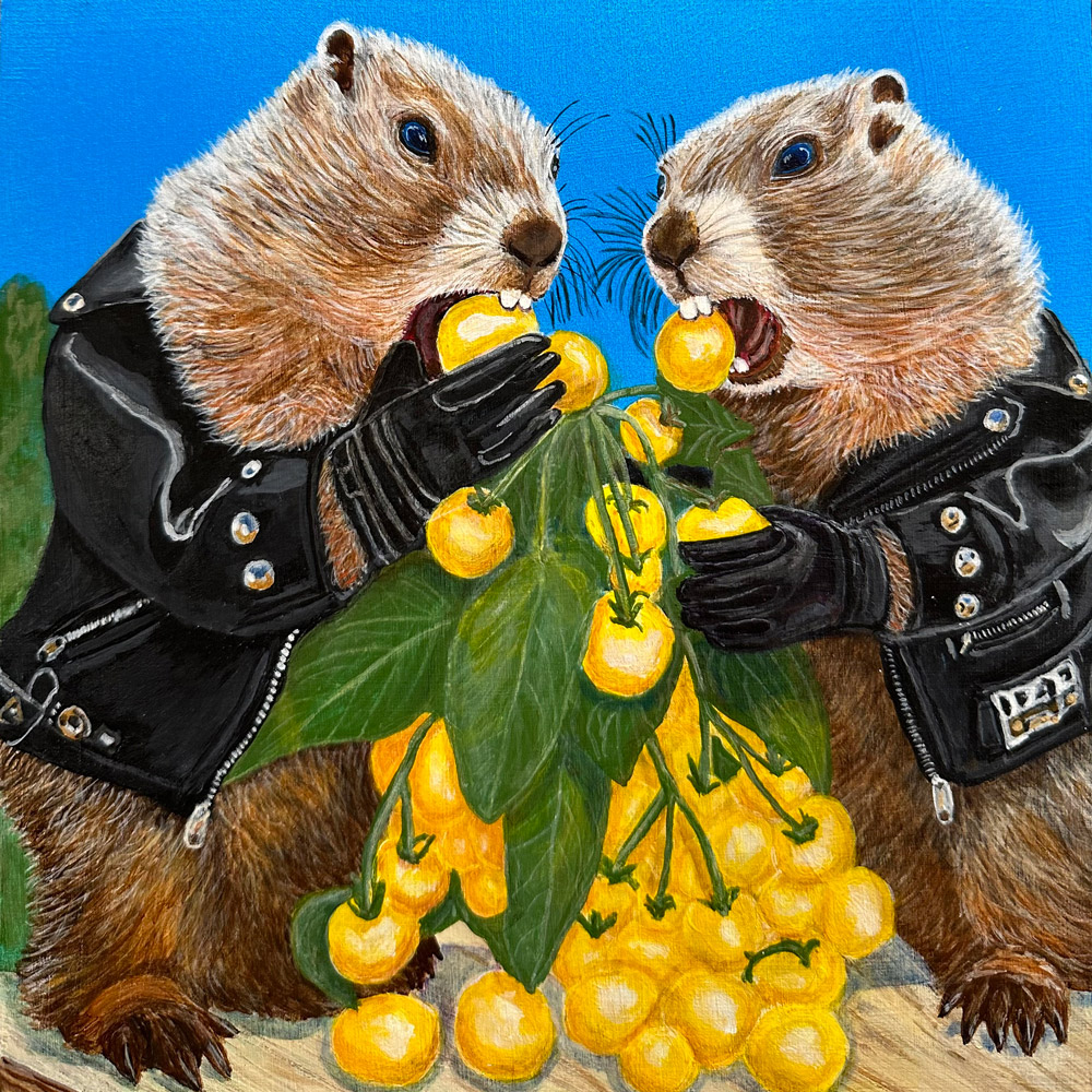 Groundhog Gang Eating Tomatoes 1.0 by Bloomin Fool. In their leather jackets, these boys are devouring yellow cherry tomatoes.